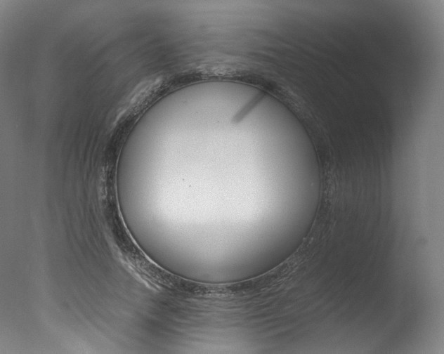 X0000077340738200610200940