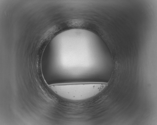 X0000077340739200610200940