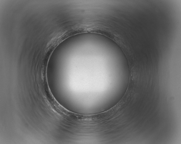 X0000077340740200610200940