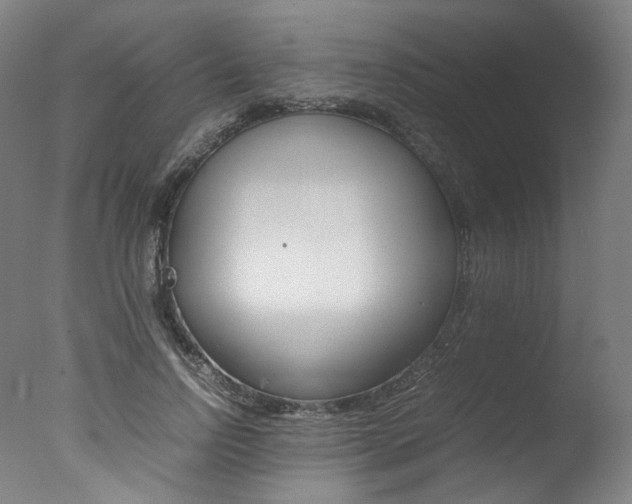 X0000077340742200610200940