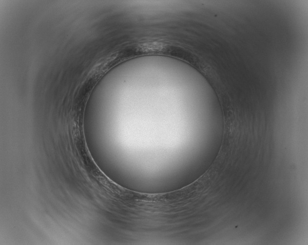 X0000077340743200610200940