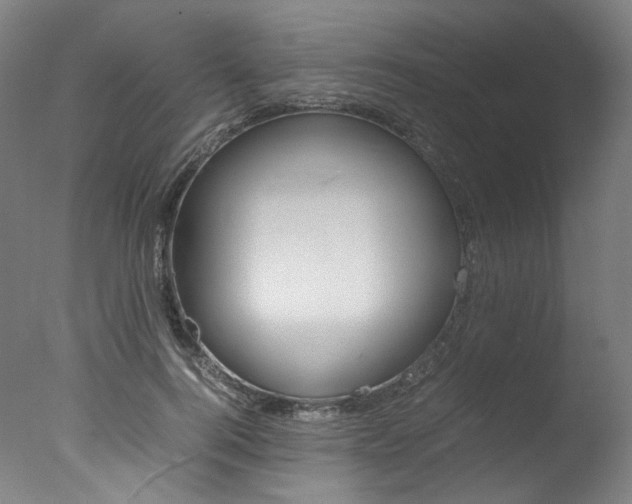 X0000077340744200610200940