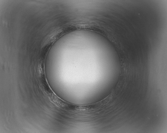 X0000077340746200610200940