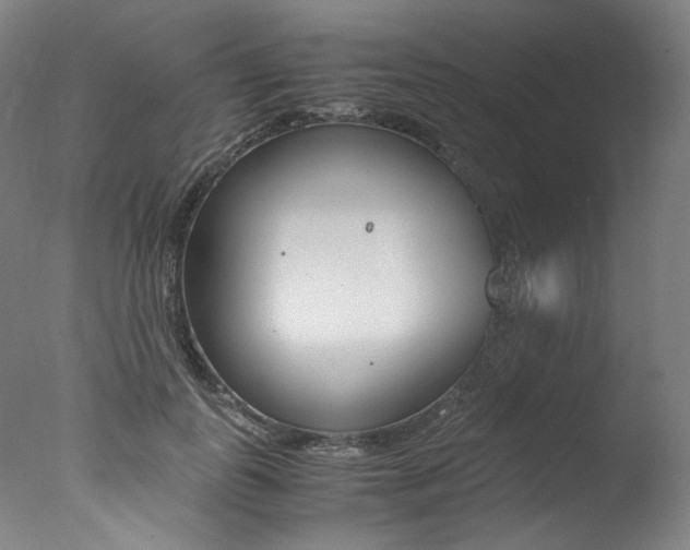 X0000077340747200610200940