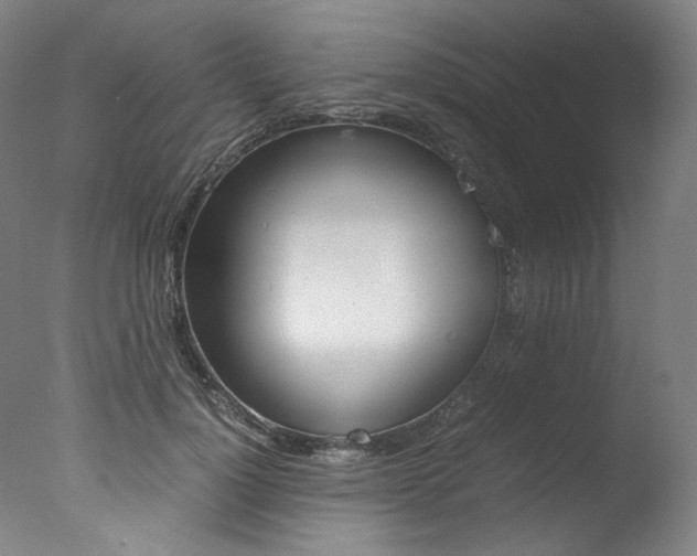 X0000077340748200610200940