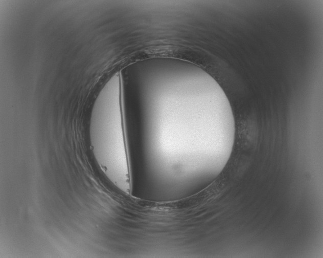 X0000077340751200610200940