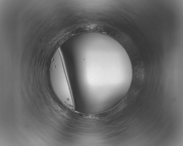X0000077340754200610200940