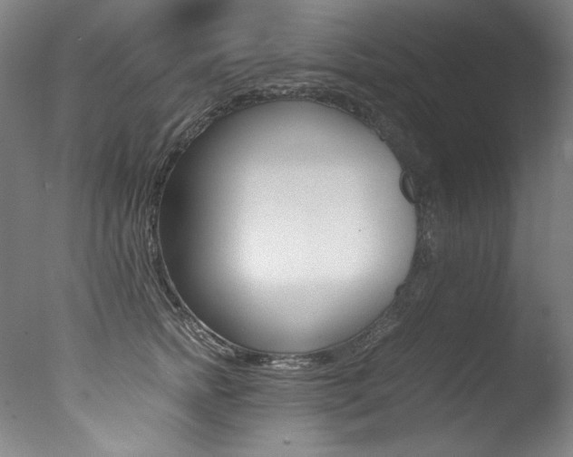 X0000077340758200610200940