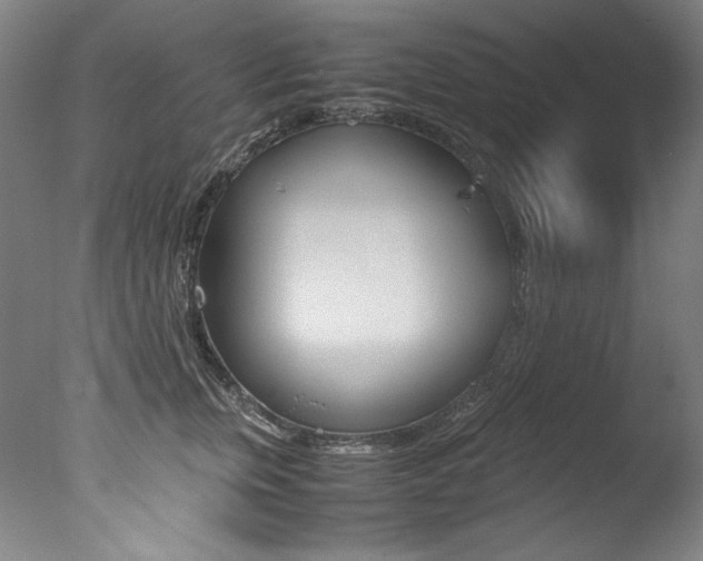 X0000077340759200610200940