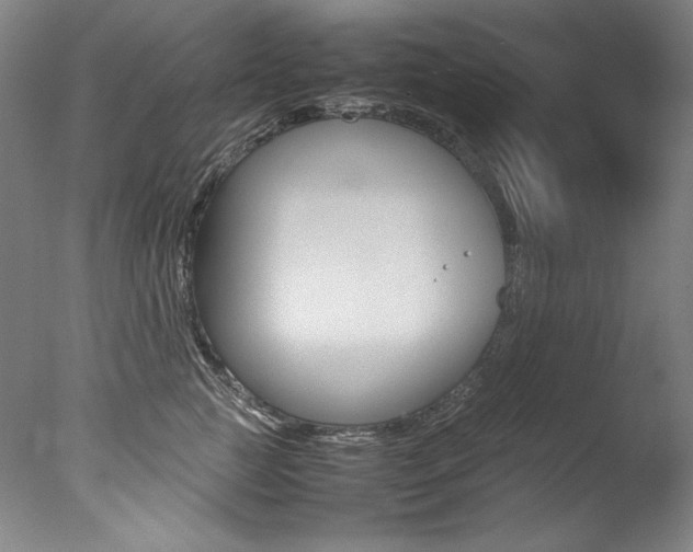 X0000077340761200610200940