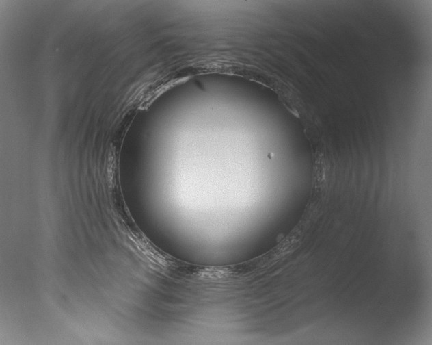 X0000077340762200610200940