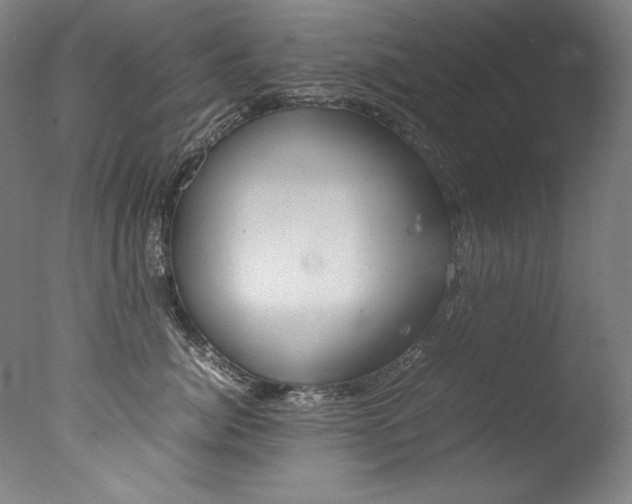 X0000077340764200610200940