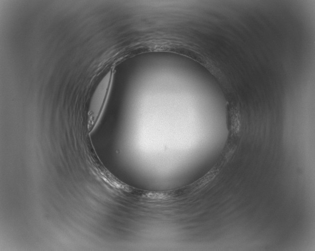 X0000077340766200610200940