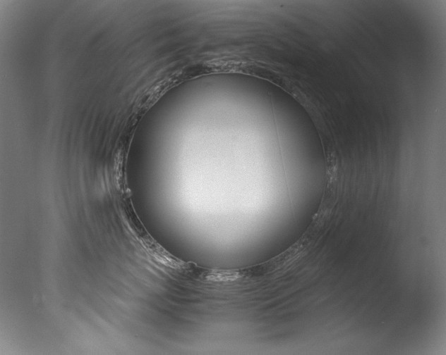 X0000077340767200610200940