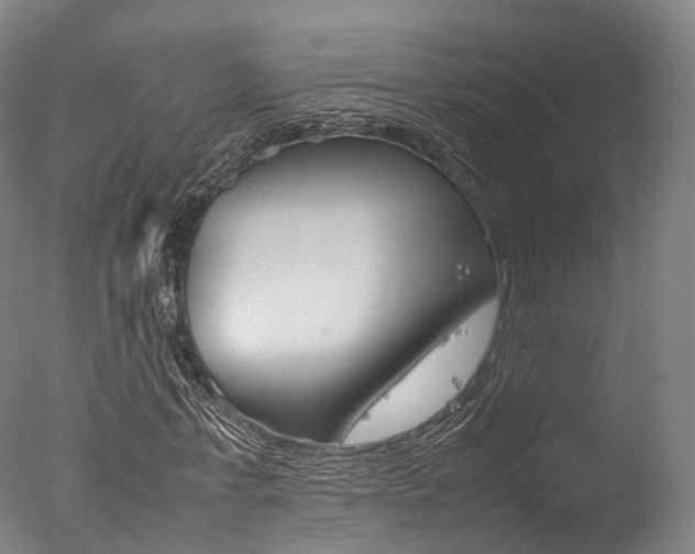 X0000077340771200610200940