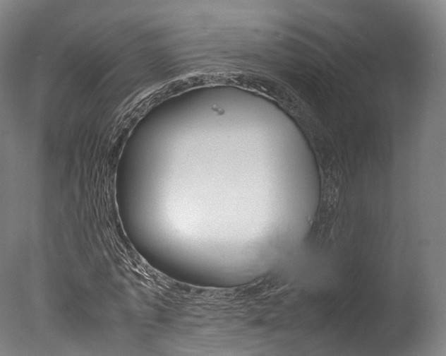 X0000077340773200610200940