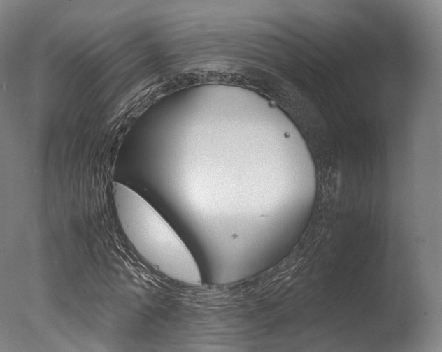X0000077340774200610200940