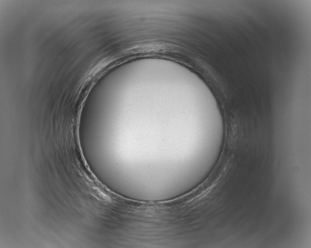 X0000077340778200610200939