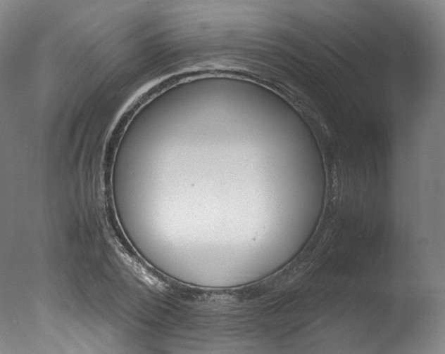 X0000077340784200610200939