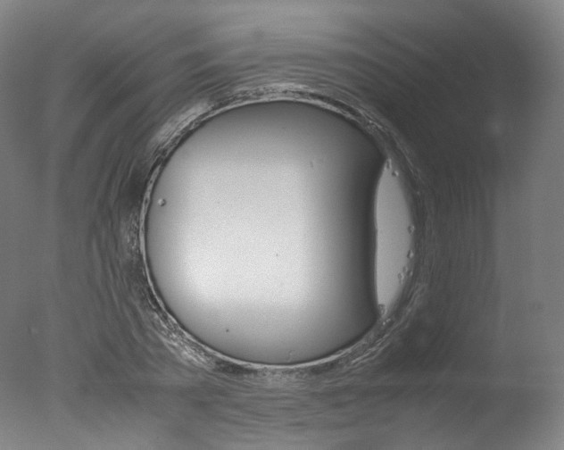 X0000077340785200610200939