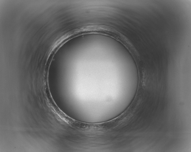 X0000077340786200610200939