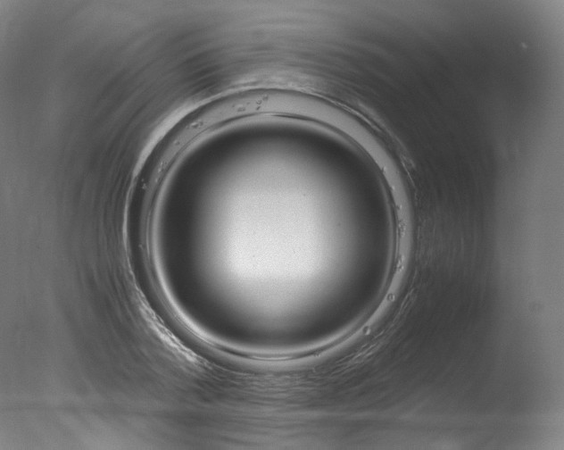 X0000077340788200610200939
