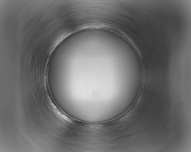 X0000077340802200610200939