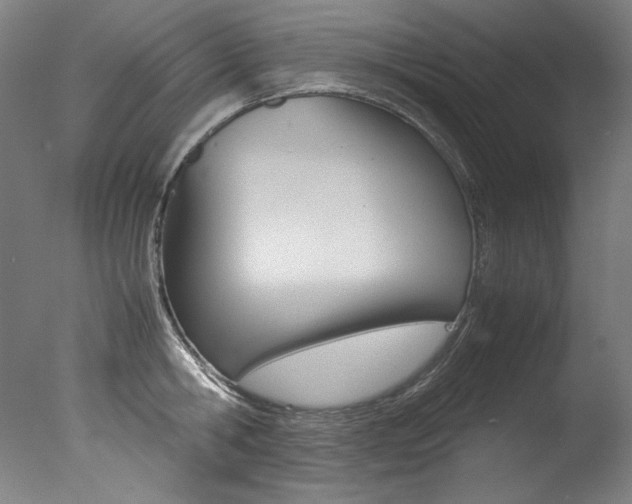 X0000077340806200610200939