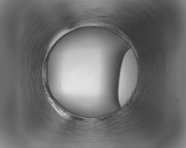 X0000077340811200610200939