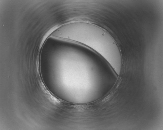 X0000077340812200610200939