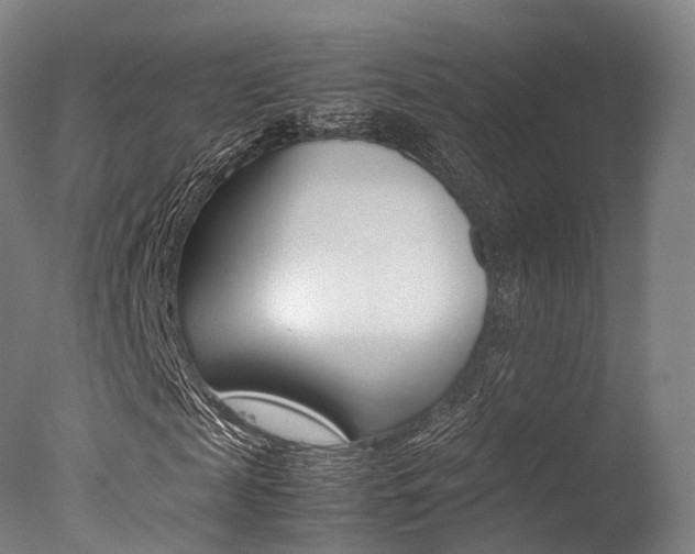 X0000077340817200610200938