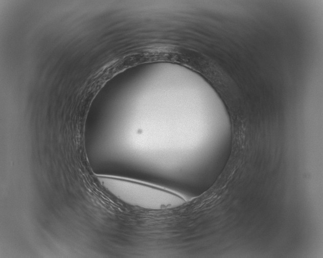 X0000077340821200610200938