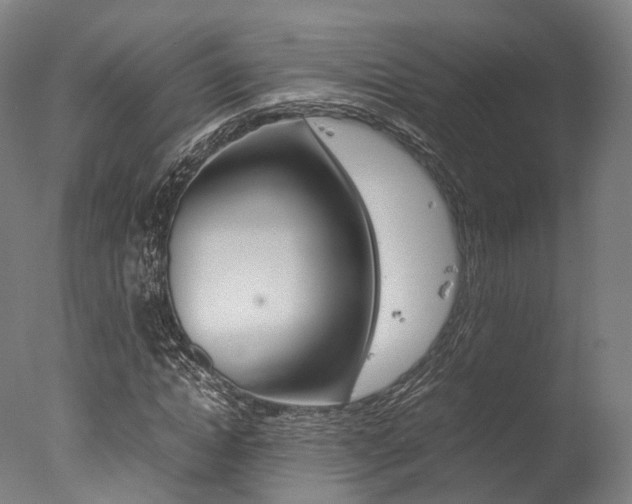 X0000077340822200610200938
