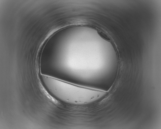 X0000077340843200610200938