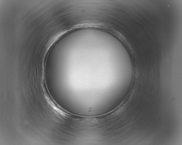 X0000077340844200610200938