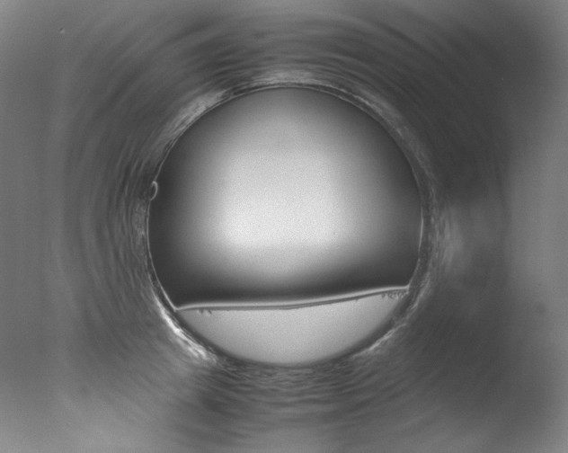 X0000077340849200610200939