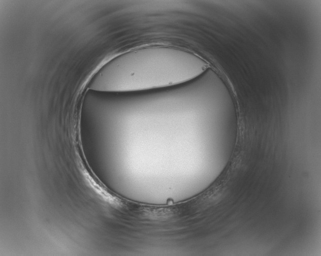 X0000077340851200610200939