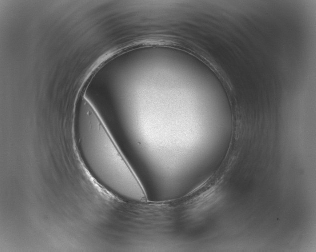 X0000077340853200610200939