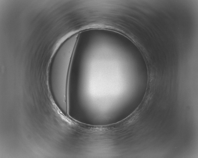 X0000077340854200610200939