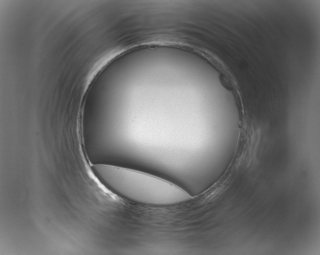 X0000077340855200610200939