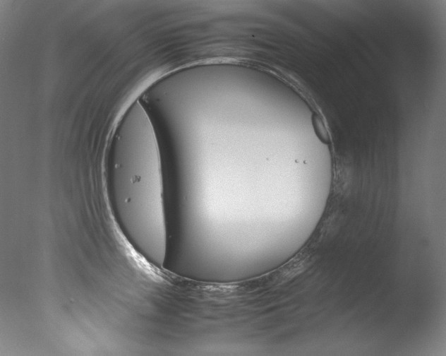 X0000077340859200610200939