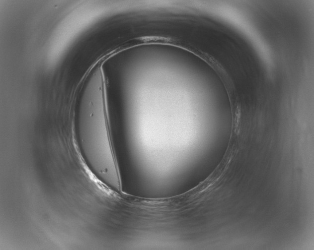 X0000077340861200610200939