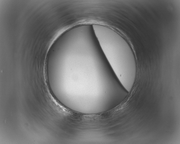 X0000077340863200610200939