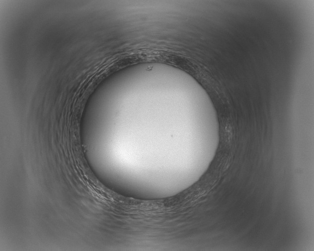 X0000077340865200610200938