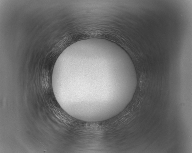 X0000077340866200610200938