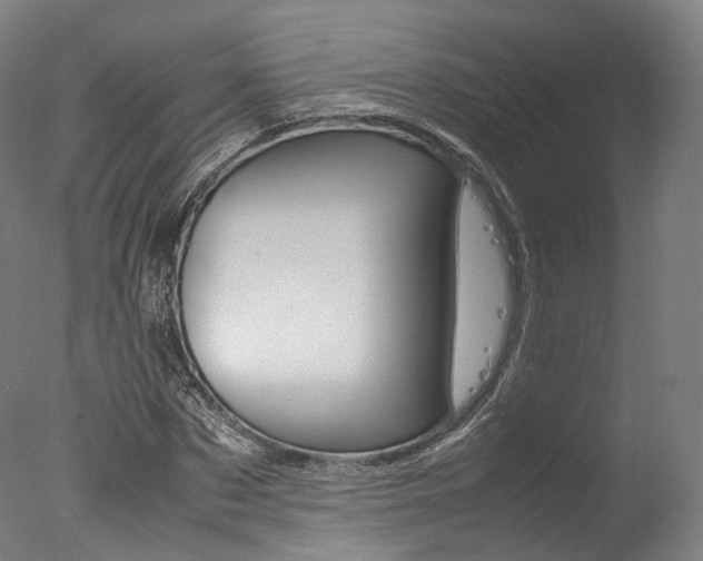 X0000077340873200610200938
