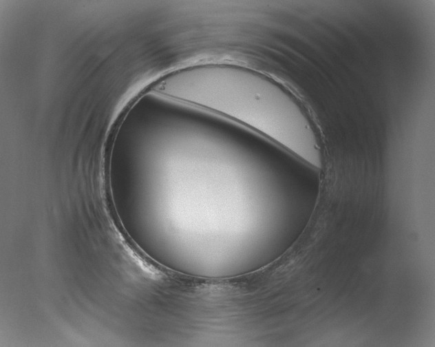 X0000077340894200610200938
