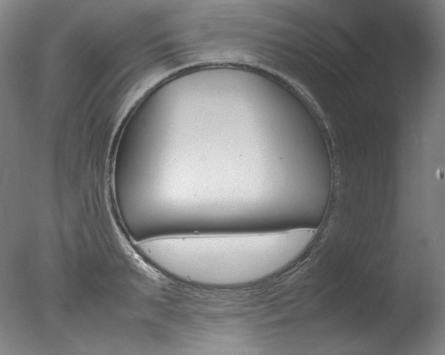 X0000077340895200610200938