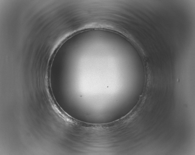 X0000077340896200610200938