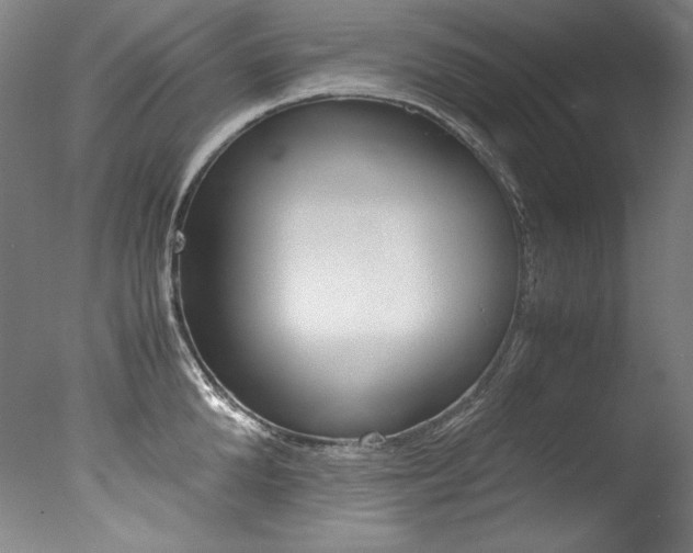 X0000077340904200610200937